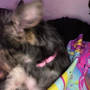 Meet your Posher, Amarion